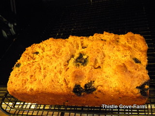 Tidbit Tuesday – Blueberry Brown Bread